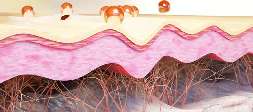 7 layers of your skin