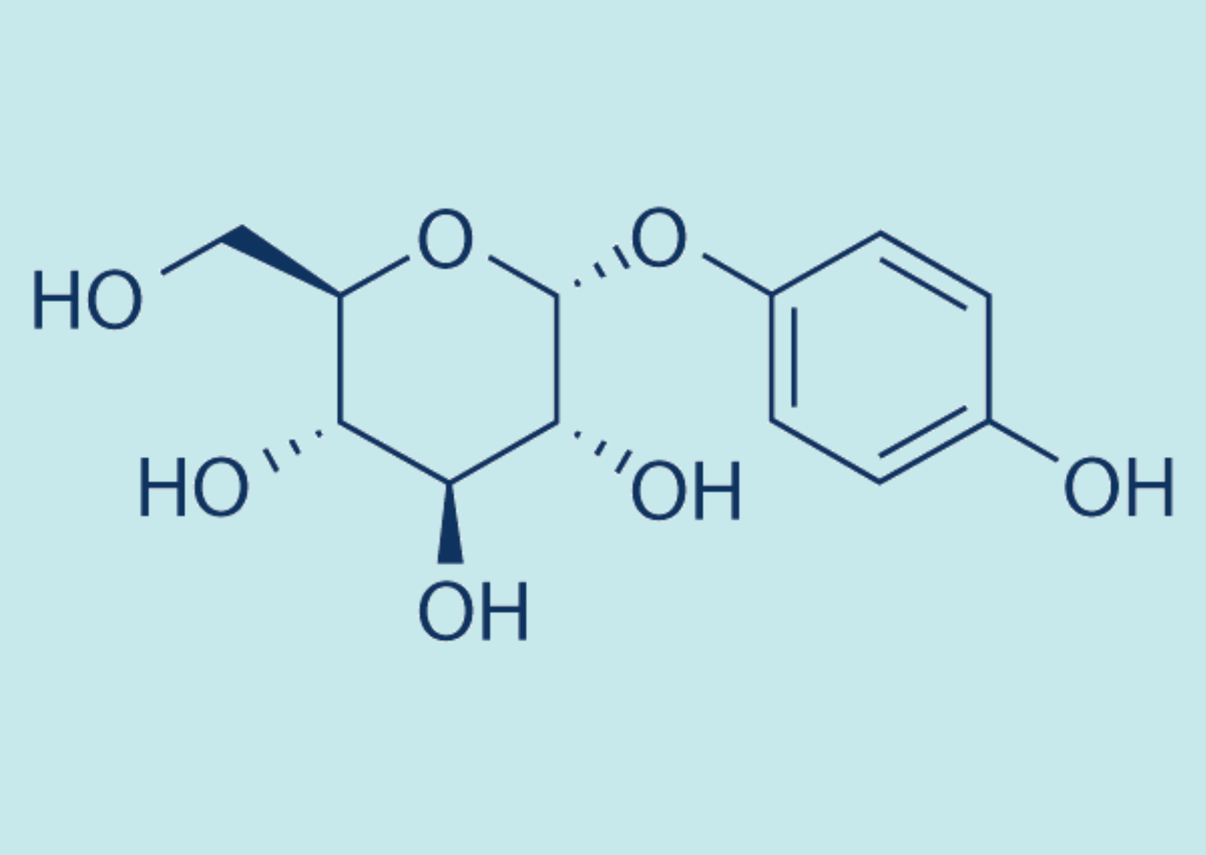 Alpha Arbutin Uses for Skin and How to Use it