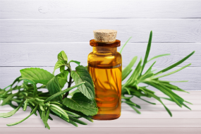 Complete guide on how tea tree oil works to treat acne