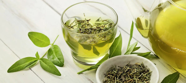 Green tea benefits for skin