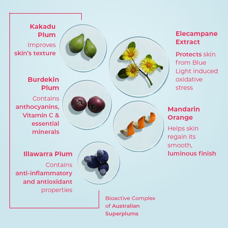 Ingredients used in Daily Moisturiser with Blue Light Protection