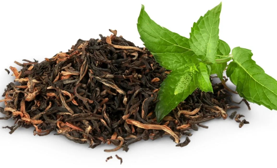 What is Green Tea Extract: Meaning & Benefits of Green Tea Extract | The Pink Foundry