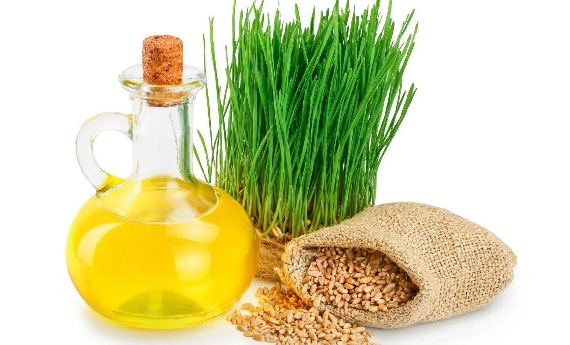 Wheat Germ Oil Meaning and What it is